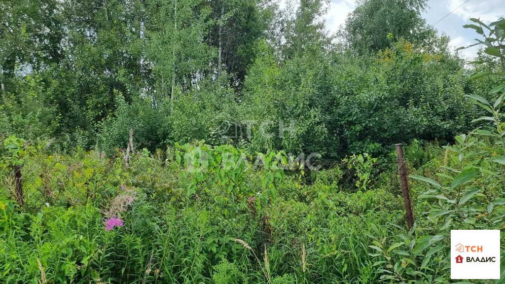 Продажа участка, Лесные Поляны, Пушкинский район - Фото 4