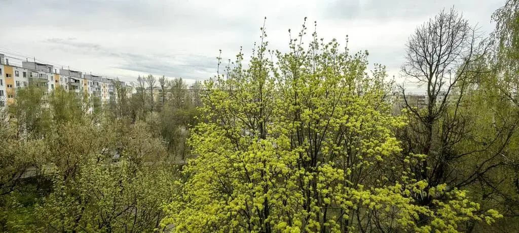 1-ка, Молостовых, 4к2 - Фото 7