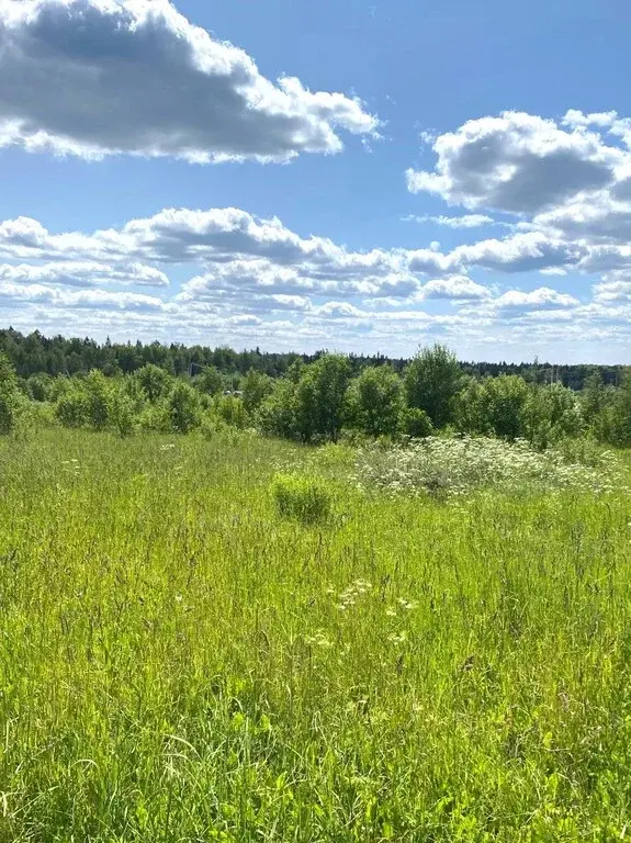 КП «Морозовский уезд». Экологически чистое, живописное и тихое место - Фото 0