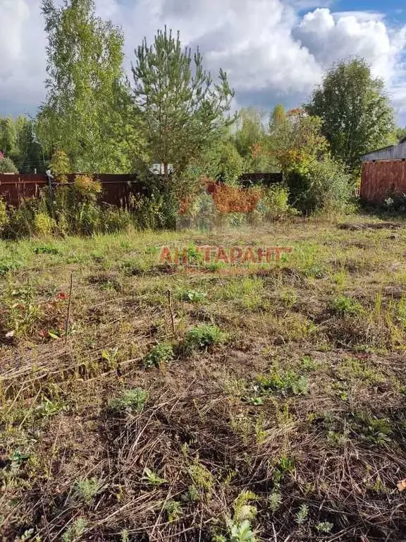 Дача в СНТ «Самарино», Александровский р-н, Владимирская обл. - Фото 3