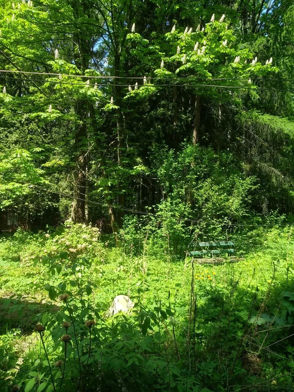 Продажа участка, Лобня, Кооперативная улица - Фото 3