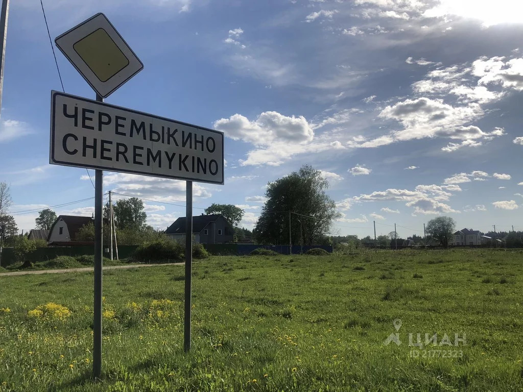 Кипенское сельское поселение. Деревня Черемыкино. Черемыкино Ленинградская область. Черемыкино Ленинградская область деревня Елкино. Деревня Черемыкино фото.