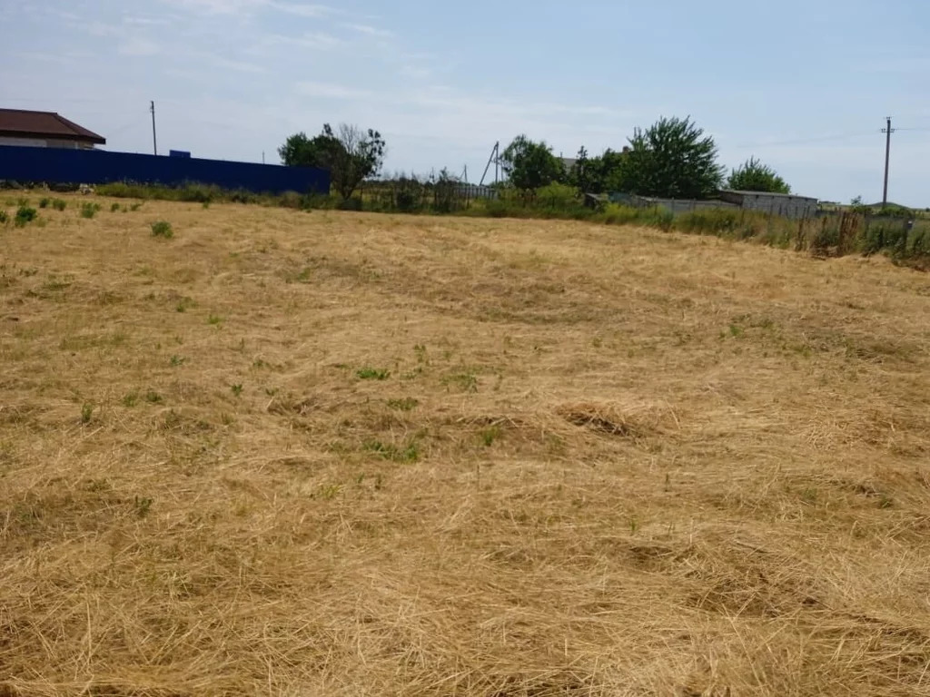 Феодосия, р-он ближние камыши. Феодосия район камыши. Тамань участки. Тамань участки. Тамань участки.