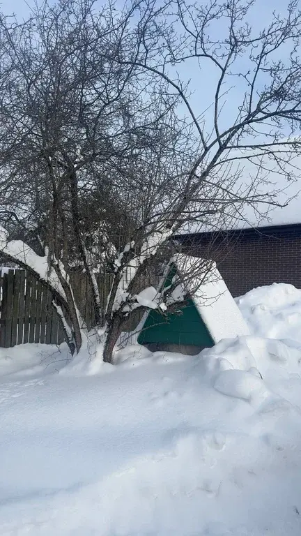 Участок в черте города Дедовска - Фото 1