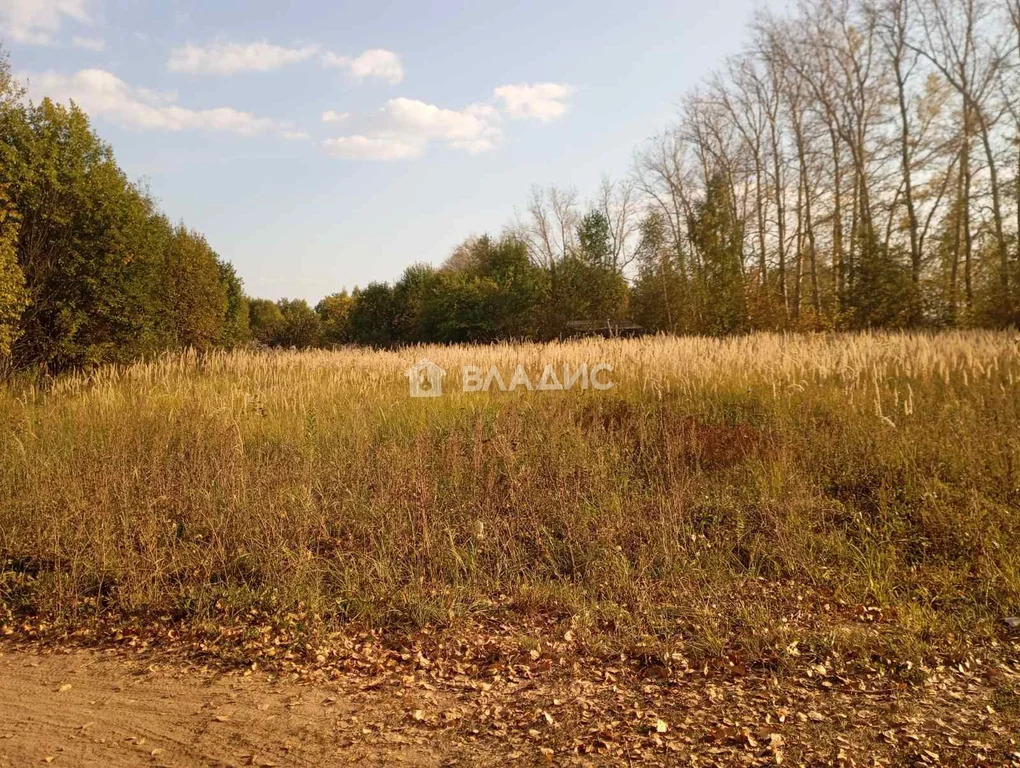 Суздальский район, СНТ Родник,  земля на продажу - Фото 4