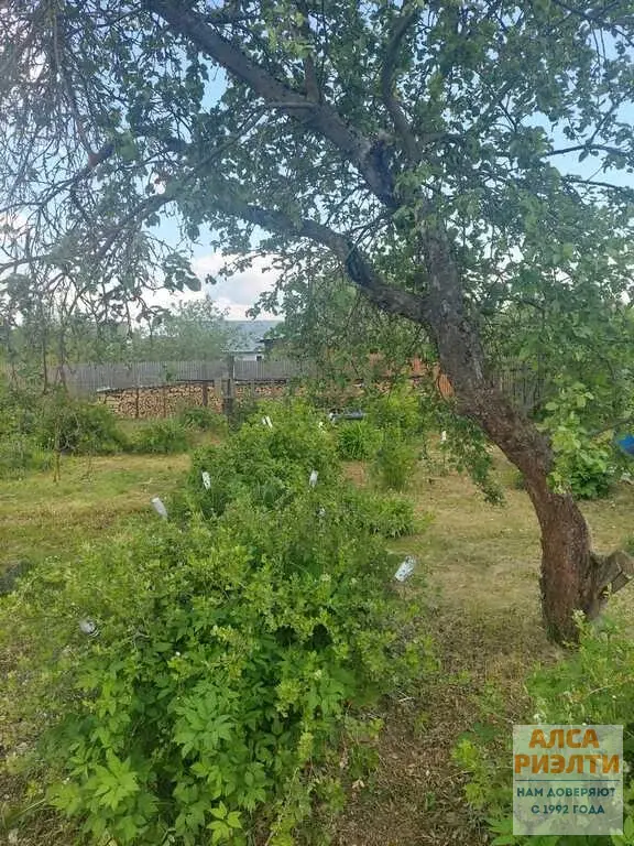 ЗУП-888 Продажа з/у 8 сот. (ЛПХ) в д. Новинки го Солнечногорск - Фото 3
