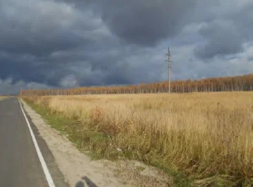 Земельный участок - Фото 1