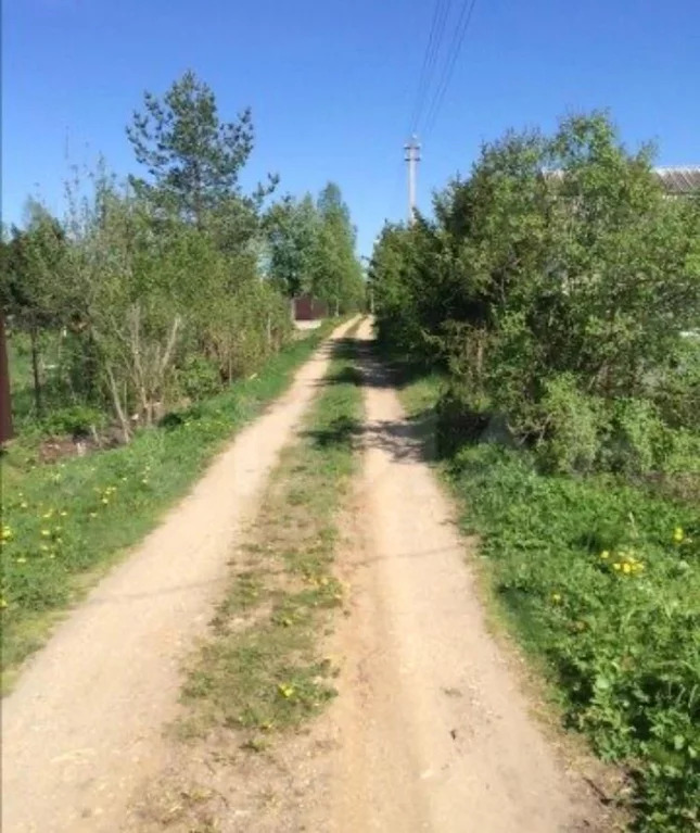 Талдом бельское. Деревня Бельское Талдомский в 1980 фото.