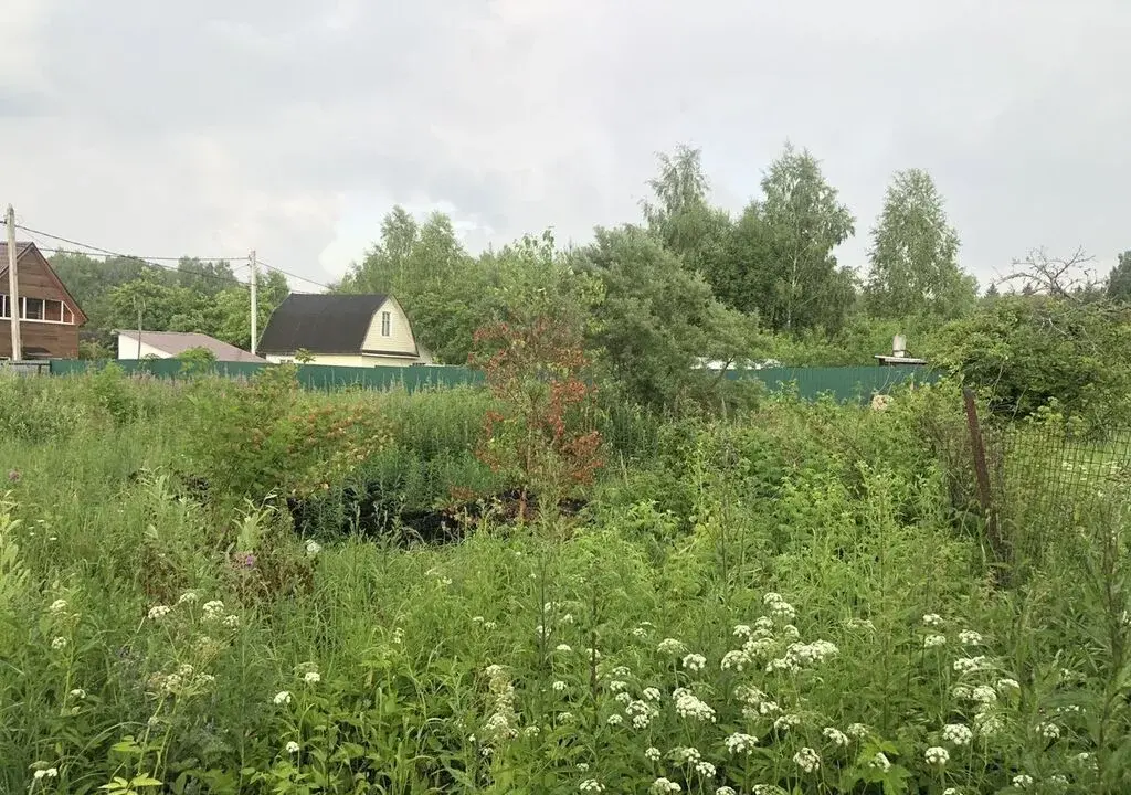 Участок 6 соток в д. Новый стан, СНТ Лесная Поляна. - Фото 3