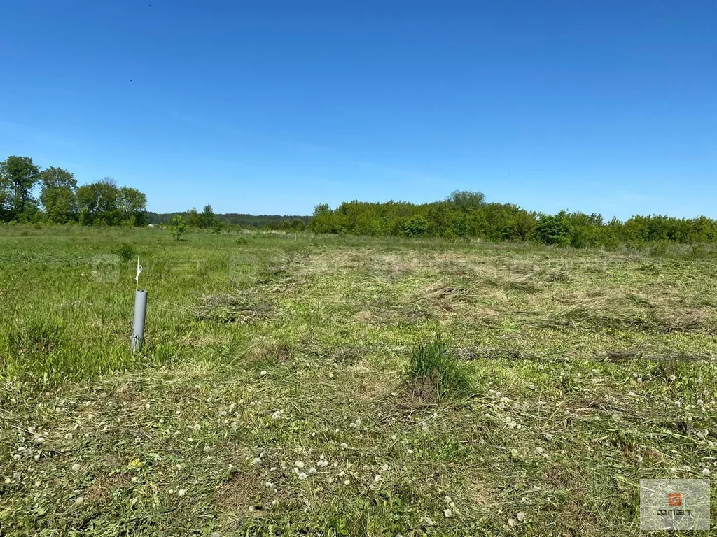 Продажа участка, Новое Мамонино, Высокогорский район, ул. Речная - Фото 3