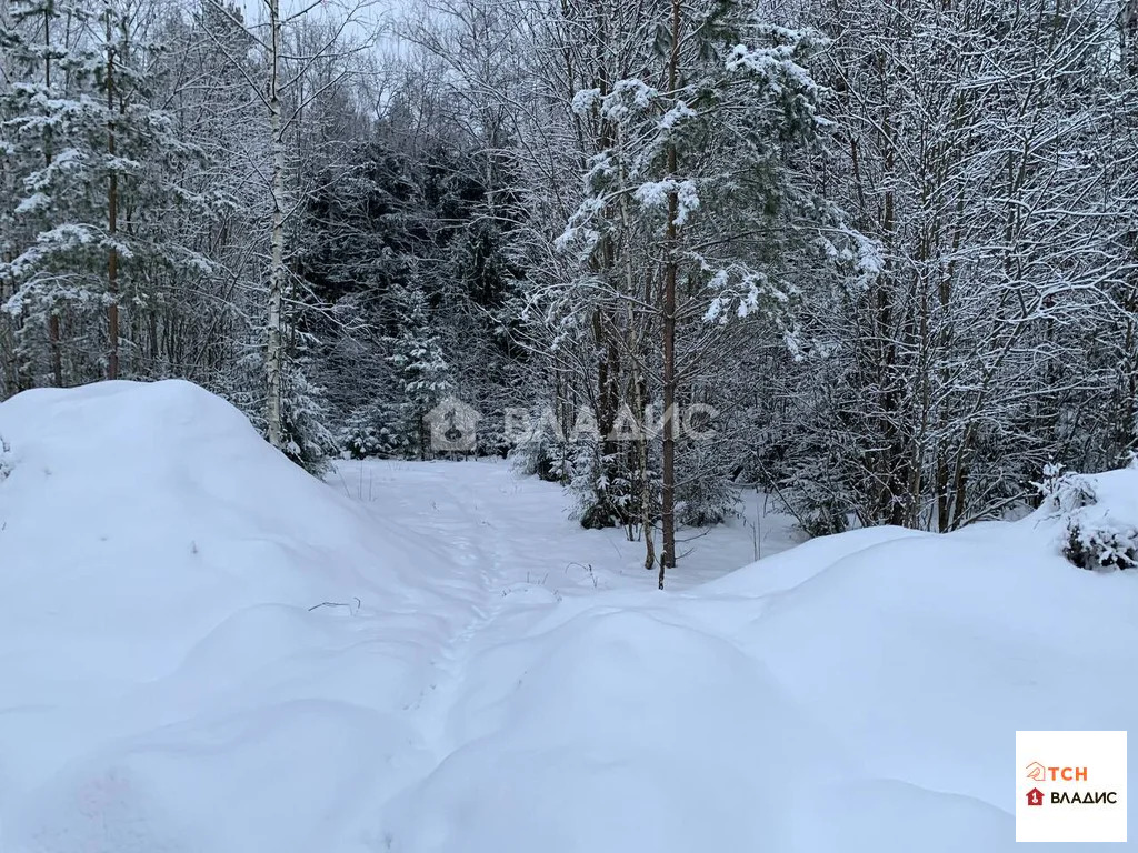 Продажа участка, Щелковский район - Фото 7