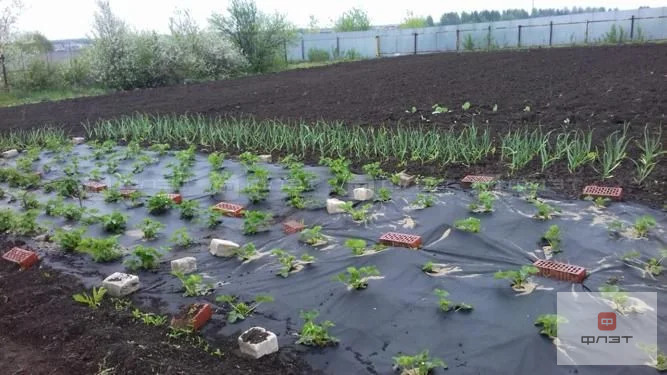 Продажа дома, Сапуголи, Лаишевский район, ул. Озерная - Фото 4