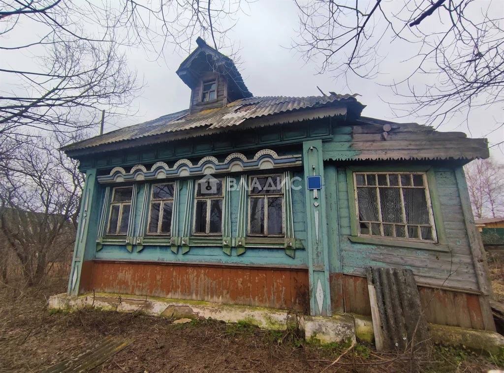 Судогодский район, деревня Райки, дом на продажу - Фото 2