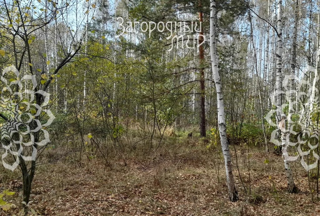 Продам участок, Дмитровское шоссе, 85 км от МКАД - Фото 6