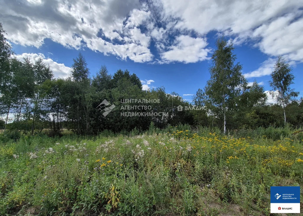 Продажа участка, Варские, Рязанский район - Фото 4