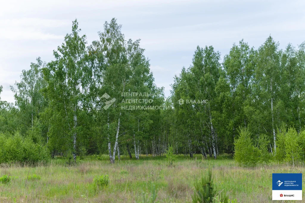 Продажа участка, Рязанский район - Фото 5