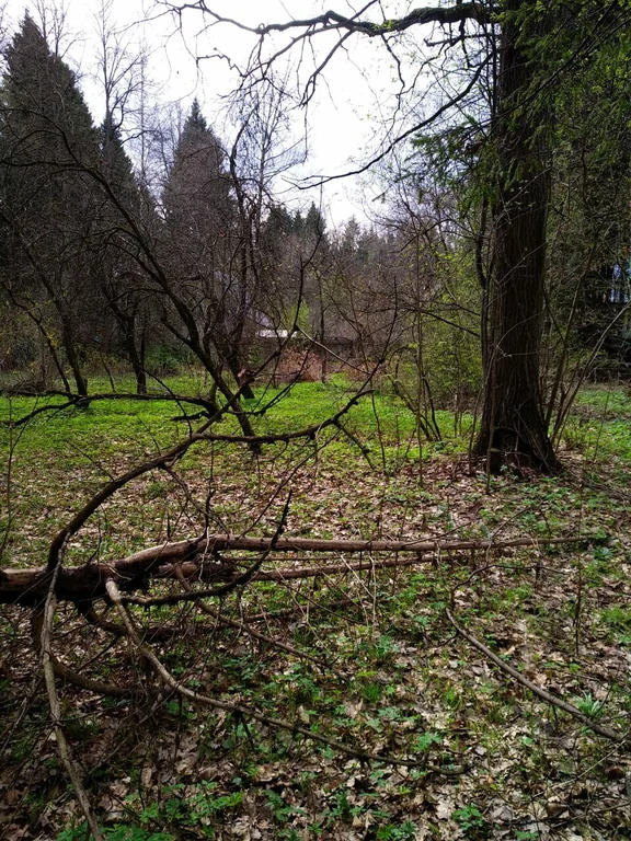 Продажа участка, Лобня, Кооперативная улица - Фото 9