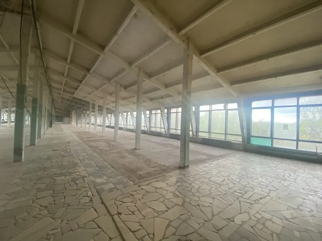 м. Трикотажная 14 м.п. ул.В.Петушкова д.8.Сдается ПСН 200 кв.м на 5/5 - Фото 1