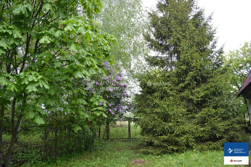 Продажа дома, Сорокино, Рязанский район - Фото 13