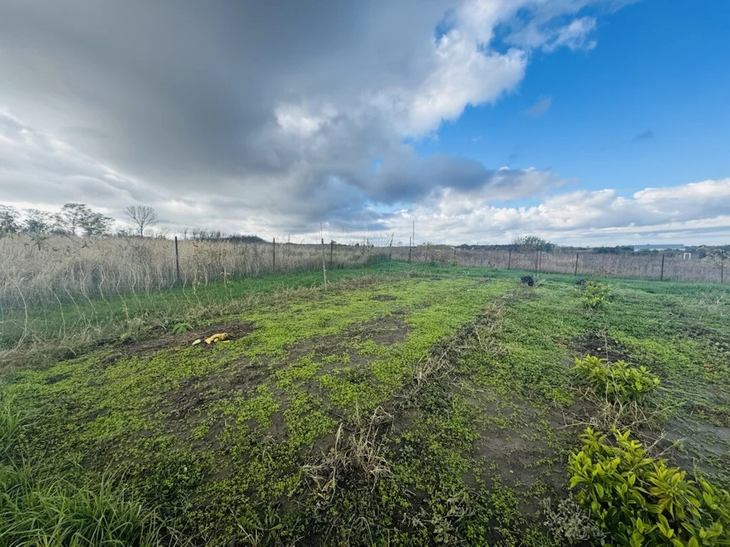 Продажа дома, Стрелка, Темрюкский район, ул. Таманская - Фото 13