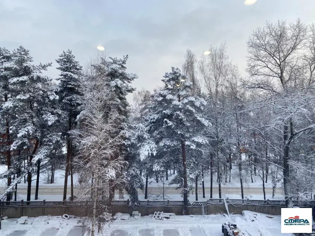 Продается студия 15,9 кв.м, в новом готовом комплексе Forest Suites - Фото 16