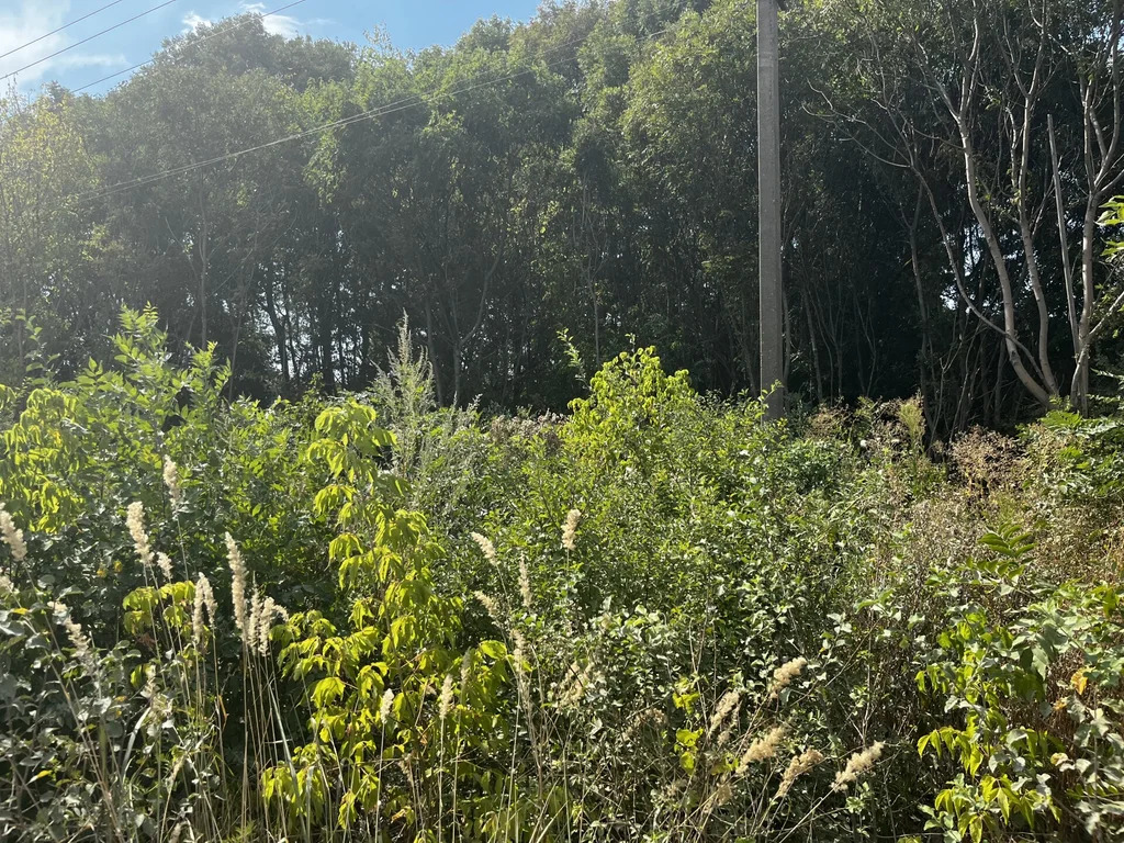 Продажа участка, Бончковский, Северский район, ул. Центральная - Фото 4