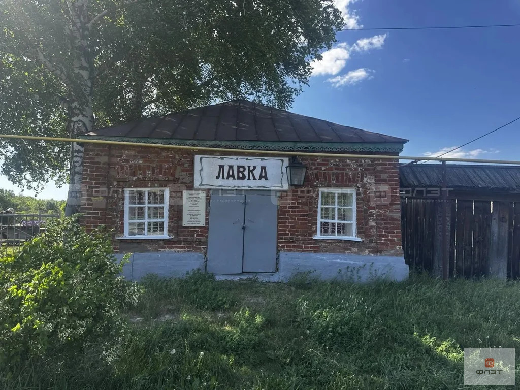Продажа участка, Красновидово, Камско-Устьинский район, ул. Школьная - Фото 6