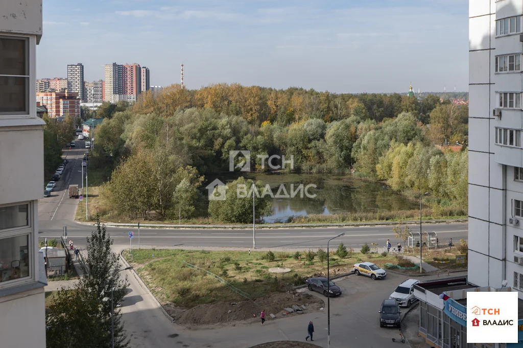 городской округ Балашиха, Балашиха, улица Свердлова, д.50, 2-комнатная ... - Фото 18