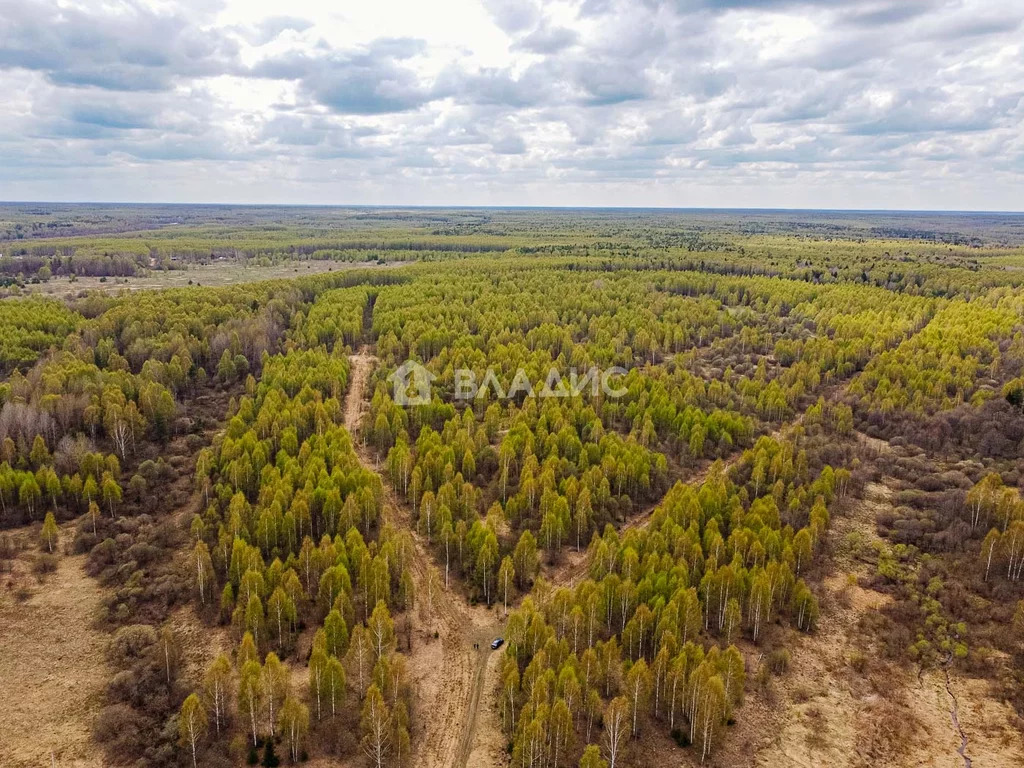 Судогодский район, деревня Кощеево, земля на продажу - Фото 5