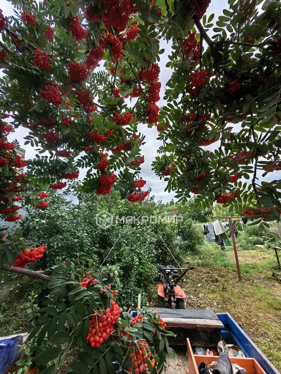 Продажа дома, Полевой, Сосновский район, ул. Центральная - Фото 11