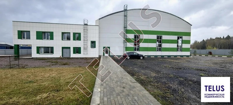 МО Дмитровский р-н д Шолохово 4770м2 Склад (ном. объекта: 8286) - Фото 3