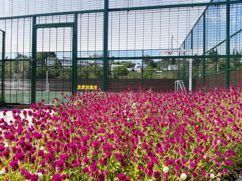 Таунхаус в Сочи 88.1 м2 в ЖК "Тюльпановка" - Фото 16