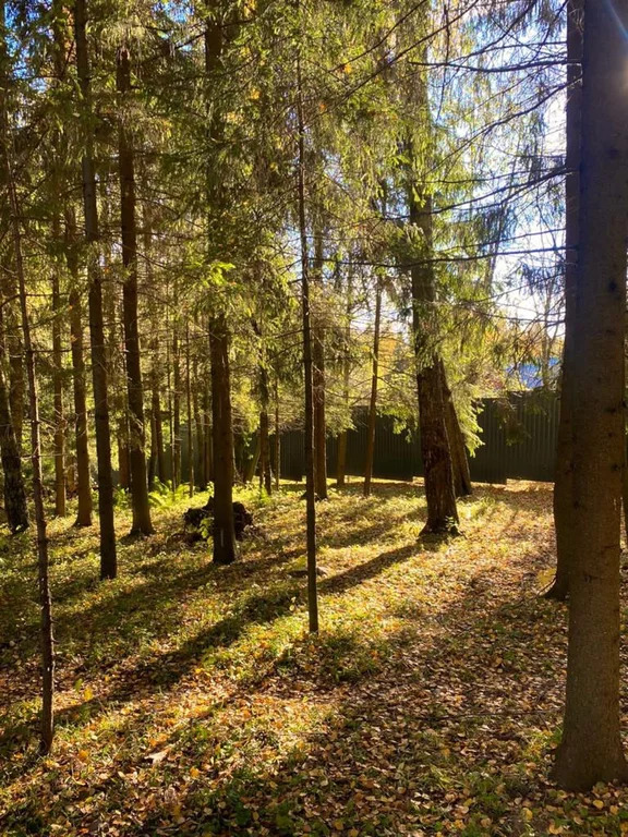 Дом 125 м2 на участке 7 сот. - Фото 4