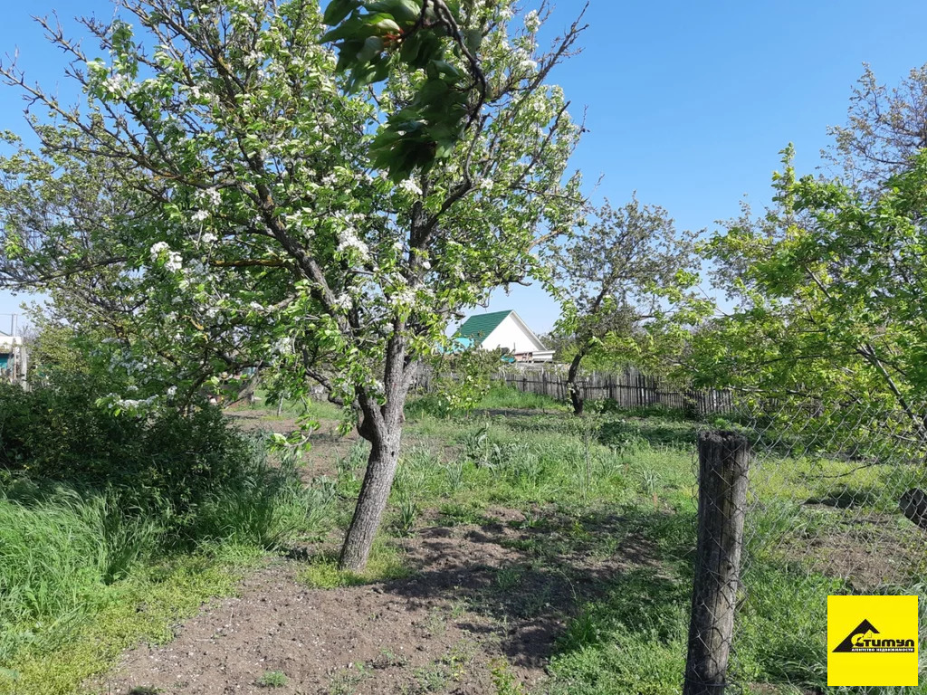 Продажа дома, Ейский район, Советская ул. - Фото 5