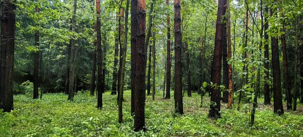 Дом 661,3 кв.м., Раменский р-н, д. Зюзино, Княжеская 1 - Фото 6