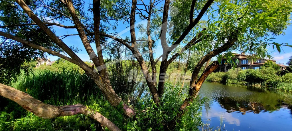 Продажа участка, Андреевка, Солнечногорский район - Фото 16