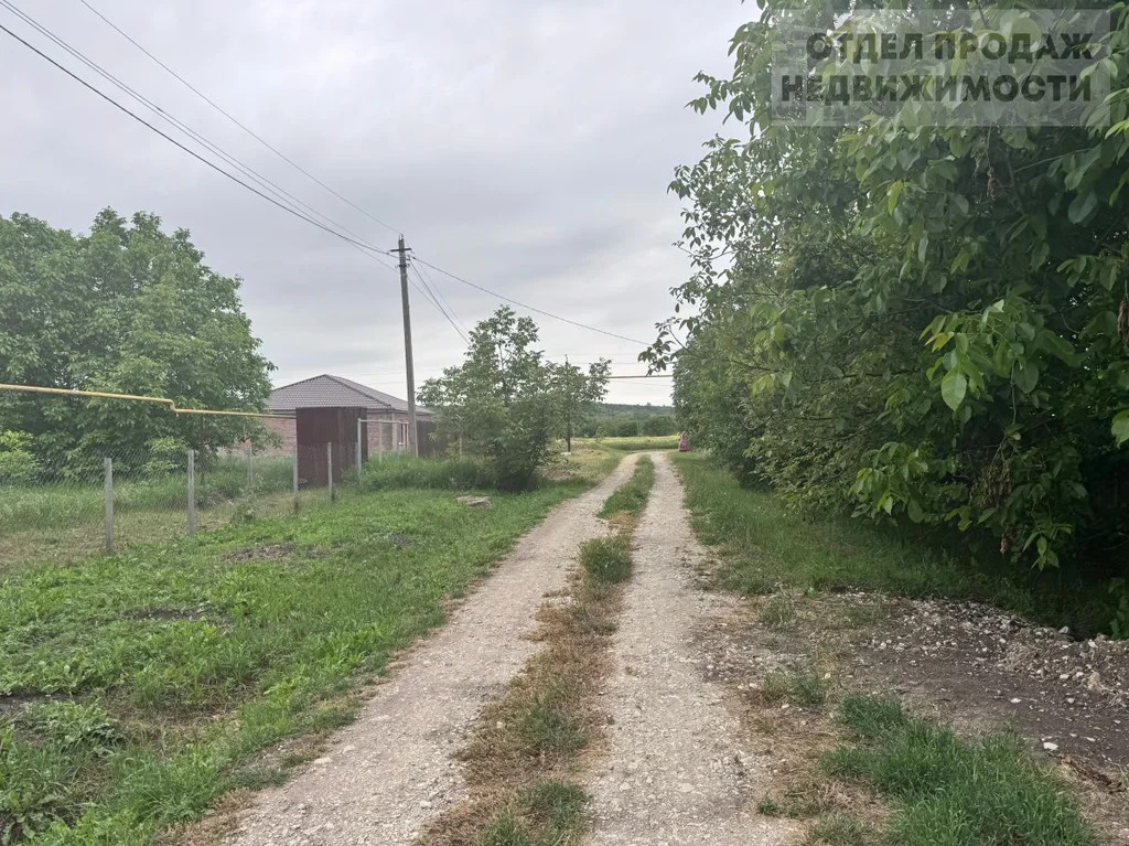 Участок - Фото 8