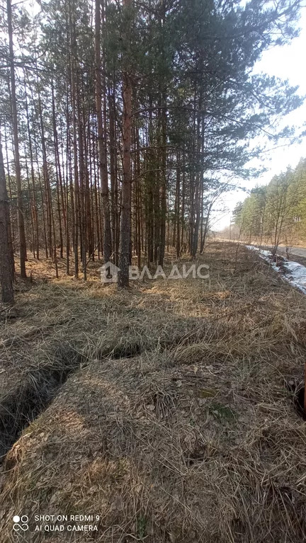 Суздальский район, село Менчаково, земля на продажу - Фото 6