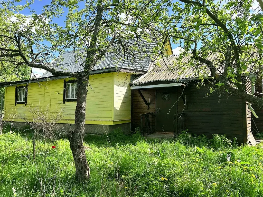 Дом в деревне Дмитровка - Фото 4