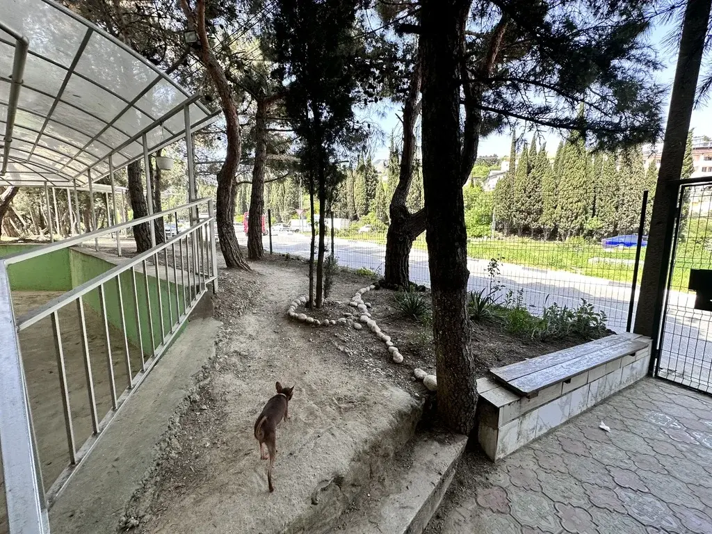 Продается квартира-студия с видом на горы и море - Фото 6