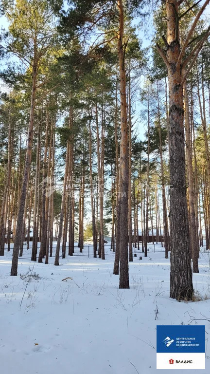 Продажа участка, Рязанский район - Фото 3