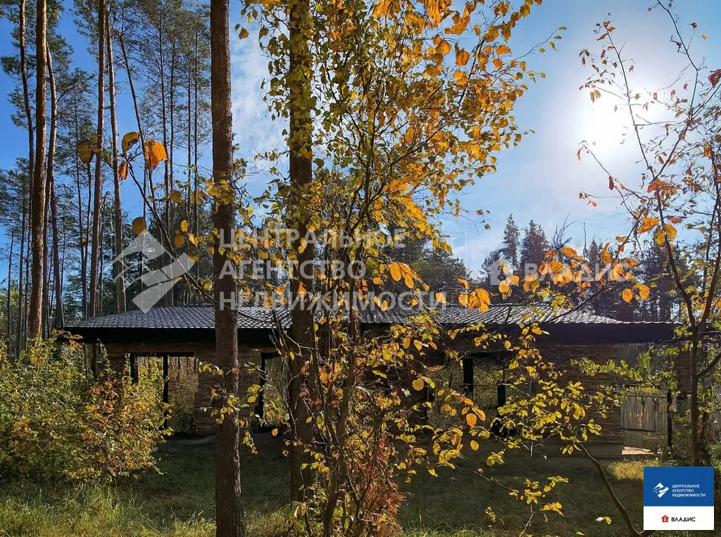 Продажа дома, Алеканово, Рязанский район, Преображенская улица - Фото 6