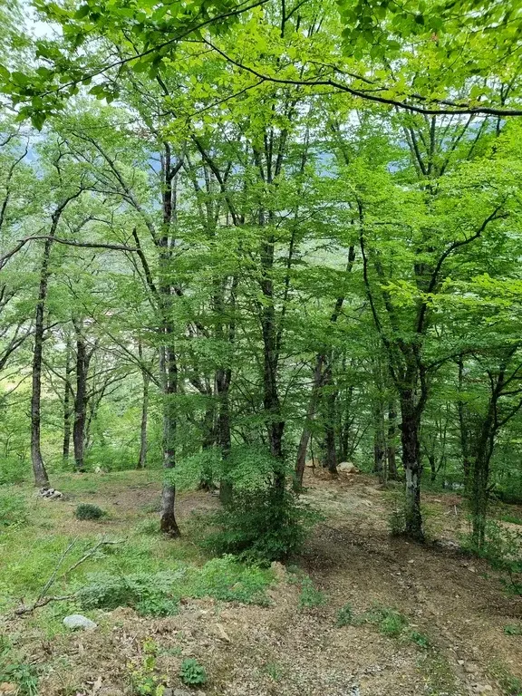 Уникальный участок, у горной реки - Фото 17