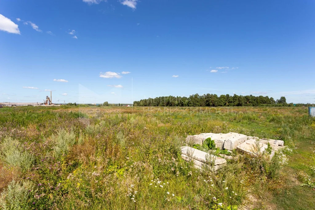 Продажа участка, Каменка, Тюменский район, Тюменский р-н - Фото 4