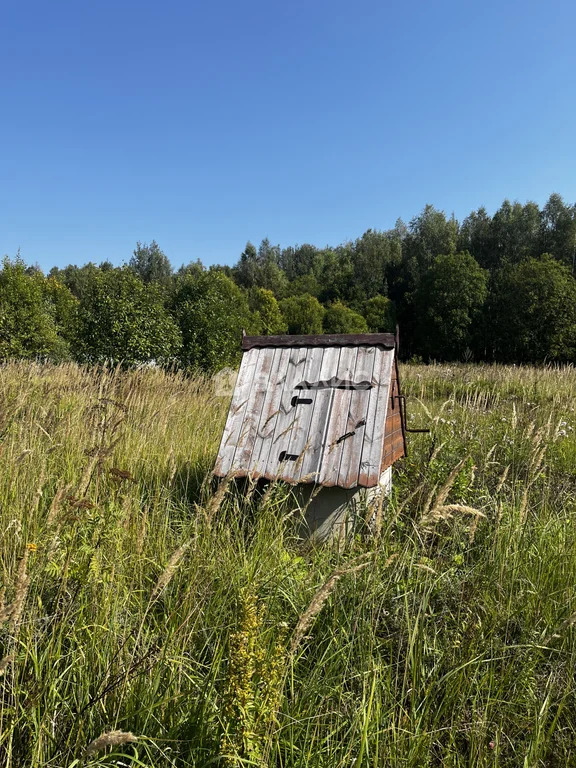 Наро-Фоминский городской округ, деревня Никольское,  дом на продажу - Фото 4