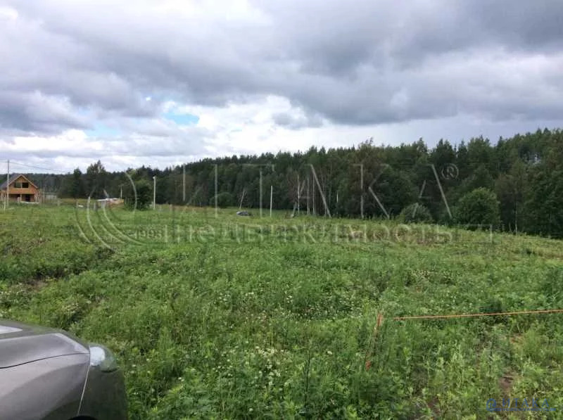 Деревня Снегиревка. Снегирёвка (Ленинградская область).