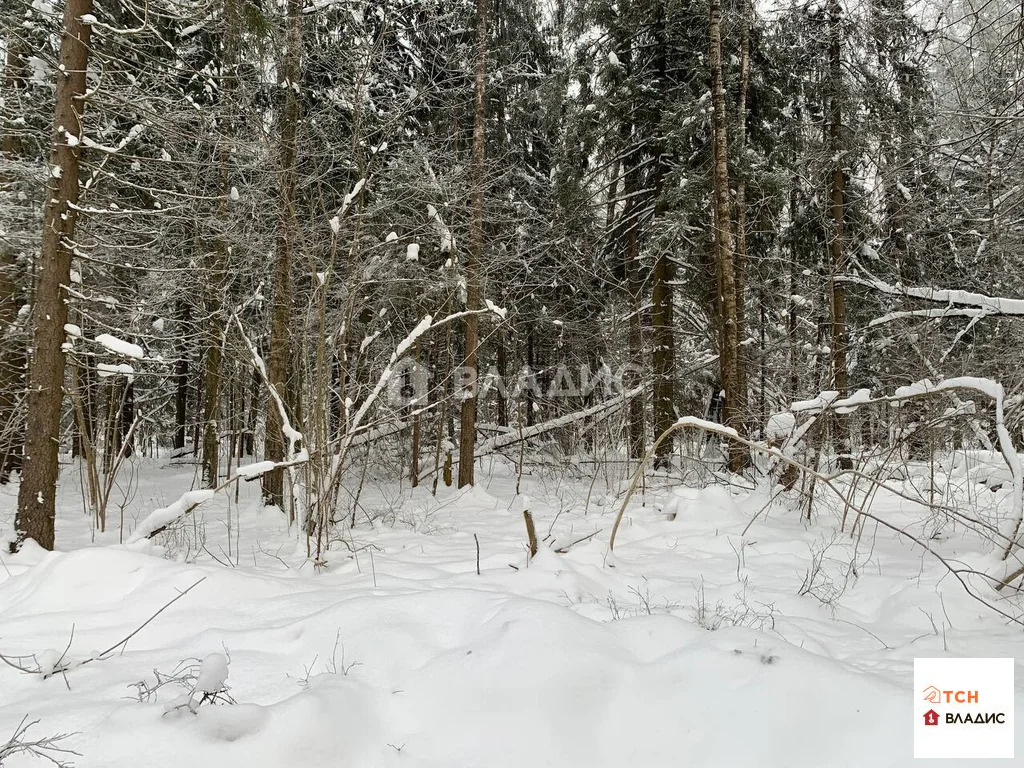 Продажа участка, Сазонки, Дмитровский район - Фото 2