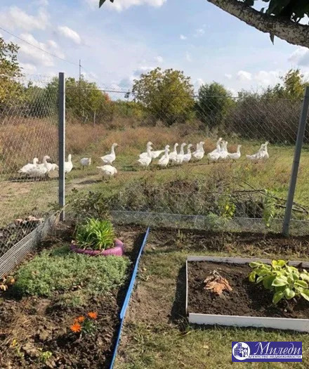 Продажа участка, Батайск, ул. 14 проезд улица - Фото 4