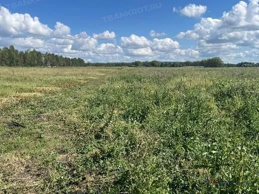 Продажа участка, Симбухово, Мокшанский район, ул. Школьная - Фото 9