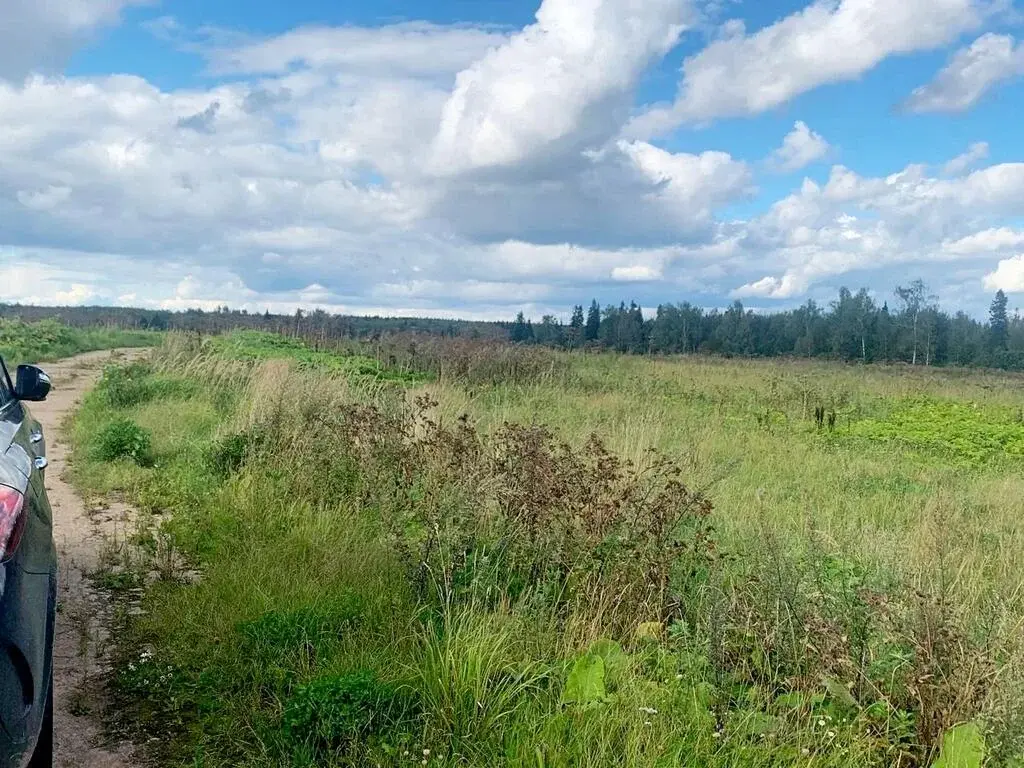 Промышленный участок 21 Га в 50 км от МКАД по Рогачевскому шоссе - Фото 1